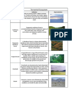 Terrestrial Ecosystem