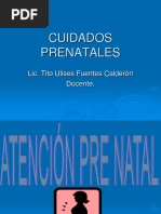 Cuidados Prenatales