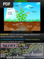 FOTOSINTESIS Nuevo1