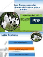 PPT