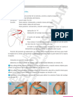 Vendaje Neuromuscular Manual Aplicaciones Practicas 57