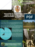 Evaluacion de La Diversidad y Biomasa de Lianas en Una Parcela Permanente de Pongo de Qoñec Cusco