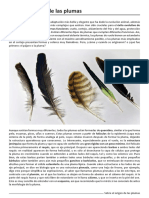 Origen Plumas PDF