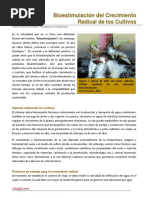 Bioestimulacion Del Crecimiento Radicular PDF