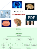 Sistema Nervioso Generalidades M Tamayo