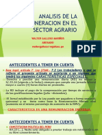 Analisis de La Remuneracion en El Sector Agrario