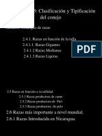 Conferencia 2.4 Razas PDF