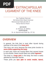 Orthopedic and Traumatologi