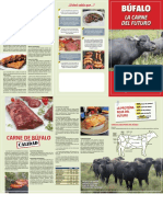 Folleto Carne de Bufalo