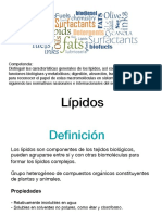 Lipidos