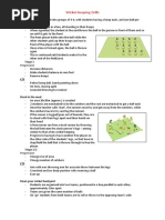 Wicketkeeping Drills