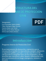 6.4 Estructura Del Programa de Proteccion Civil