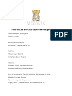 Filtro de Aire Biologico Usando Microalga