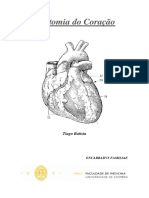 Anatomia Do Coração