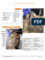 Muscles of The Facial Expression (Lab) : Outline