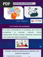 Ciencias de Aprendizaje - Amelia PDF