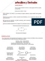  Acidos Carboxílicos