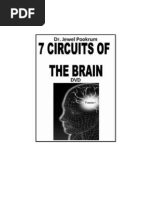 7 Circuits of Brain