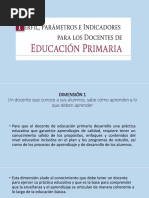 Perfiles Parametros e Indicadores de Los Docentes de Educacion Primaria