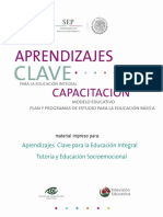 Curso Desarrollo Socioemocional y Tutoría PDF