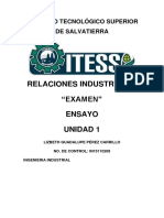 Ensayo. Relaciones Industriales