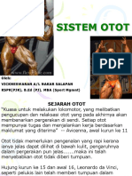 t3 - Sistem Otot