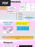 Esporotricosis