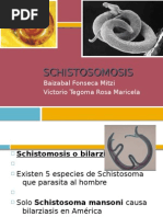 Schistosomiasis