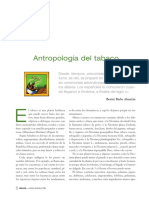 Antropologia Tabaco