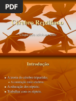 Cerebro Reptiliano - Curso Psicanalise