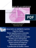 Histologia de La Hipofisis