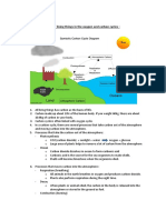 Role of Living Things in The Oxygen and Carbon Cycles