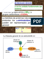 Aminoàcidos 14 PDF