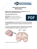 Materia Cerebral Blanca