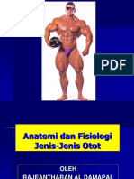 Anatomi Dan Fisiologi - Jenis - Jenis Otot