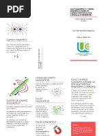 Magnentismo Folleto