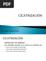 CICATRIZACIÓN