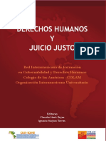 (I) NASH, Claudio-La Protección Internacional de Los Derechos Humanos PDF