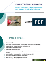 C Castiblanco Valoracion PDF