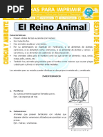 Ficha El Reino Animal para Sexto de Primaria