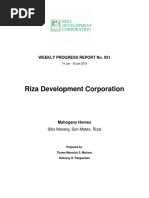 Riza Development Corporation: Weekly Progress Report No. 031