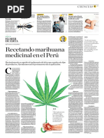 Recetando Marihuana Medicinal en El Perú