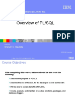 Overview of PL/SQL: Ibm Solutions Delivery Inc