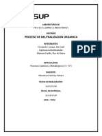 Informe PQ 06