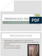 Terminologia Torax