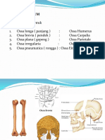 OSTEOLOGI