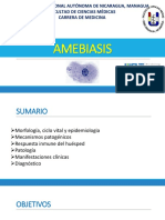 Amebiasis, Aha, Amebiasis Cutánea, Meap PDF