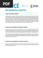 Abc Lactancia Materna PDF