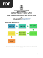 Informe Cascara Naranja