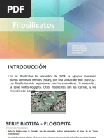 FILOSILICATO CMB